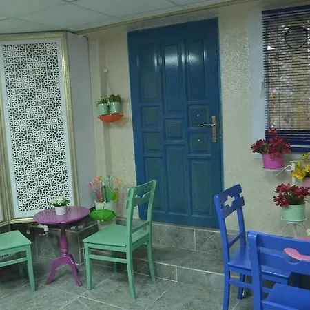 Hotel Begonia 3*
