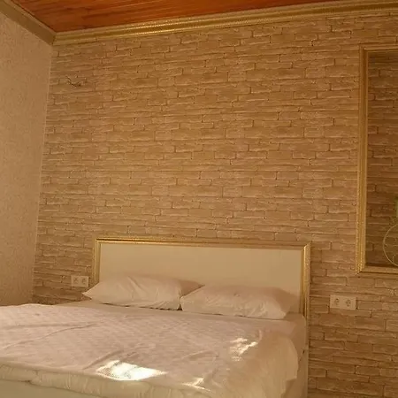 Begonia Hotel 3*