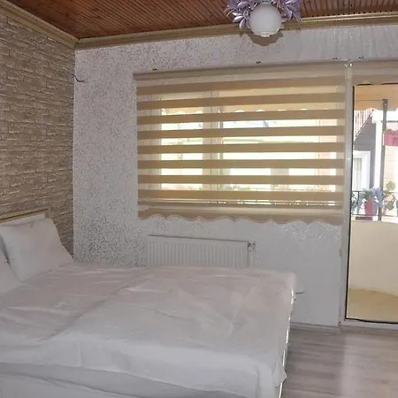 Hotel Begonia 3*