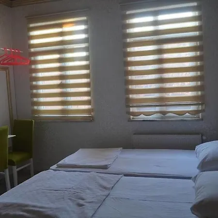 Begonia 3* Istambul
