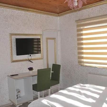Begonia 3* Provincia di Istanbul