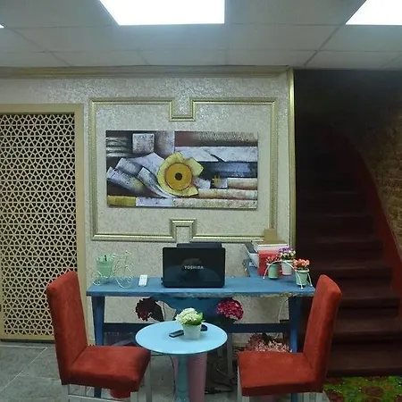 Begonia Istanbul