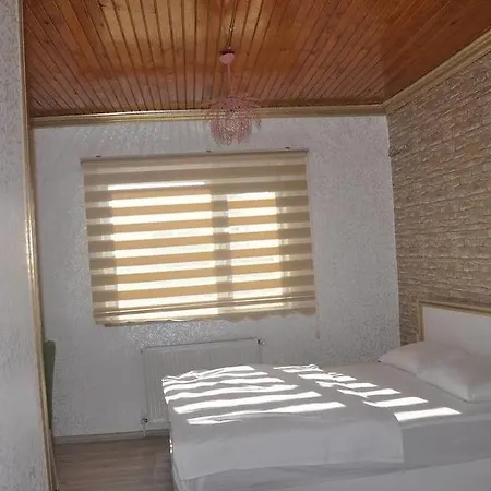 Begonia 3* Istanbul