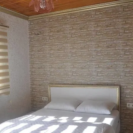 Hotel Begonia 3*